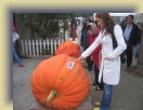 Pumpkin (31) * 1600 x 1200 * (1.12MB)